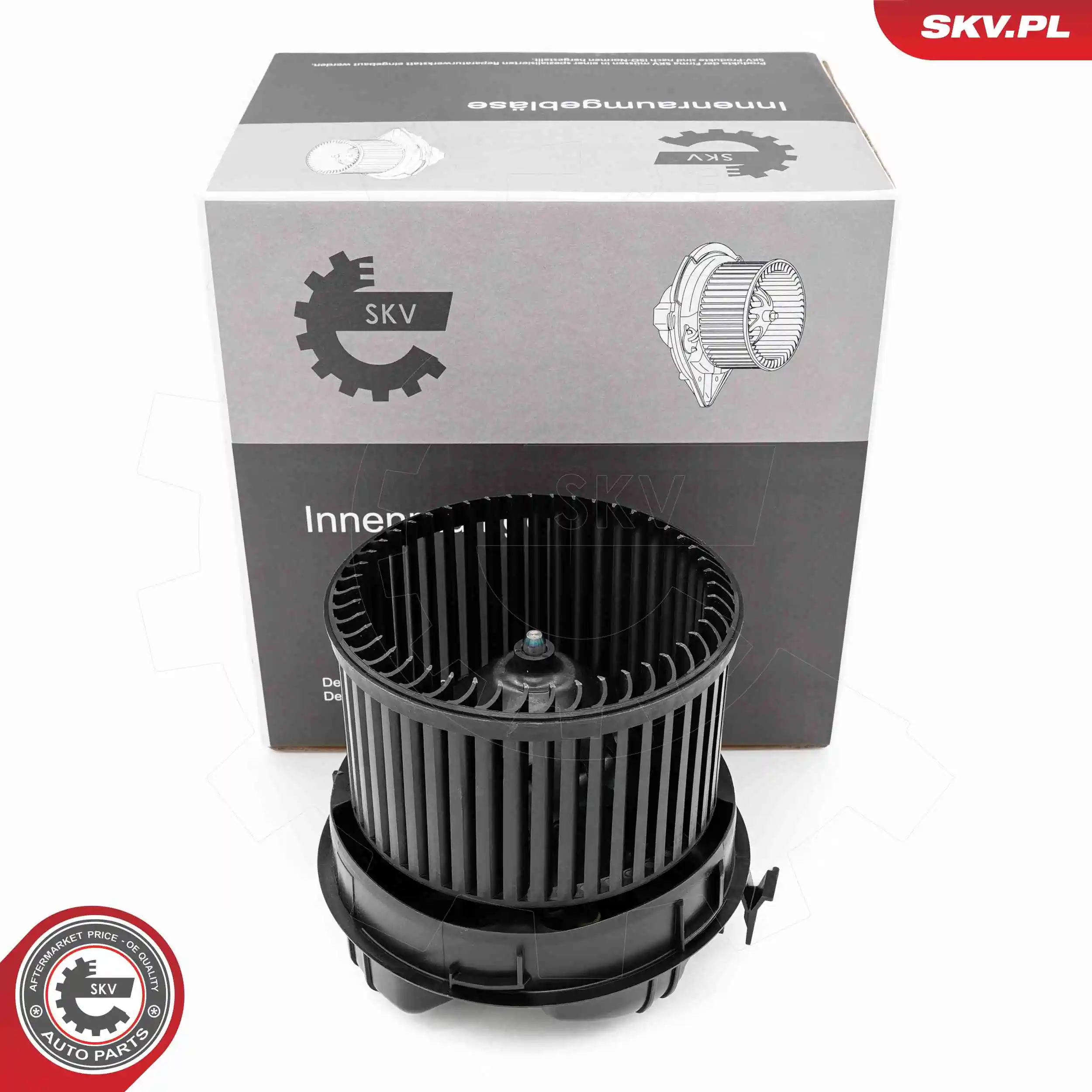 Interior Blower